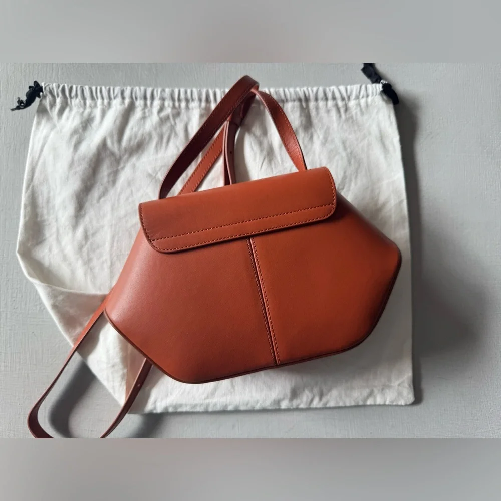 NWT Cuyana Mini Hexagon Leather Crossbody Bag in Sienna